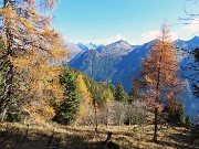 18 Spettacolo di panorami e di larici colorati d'autunno